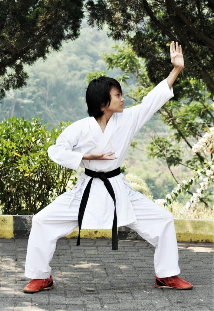 image of a person doing karate