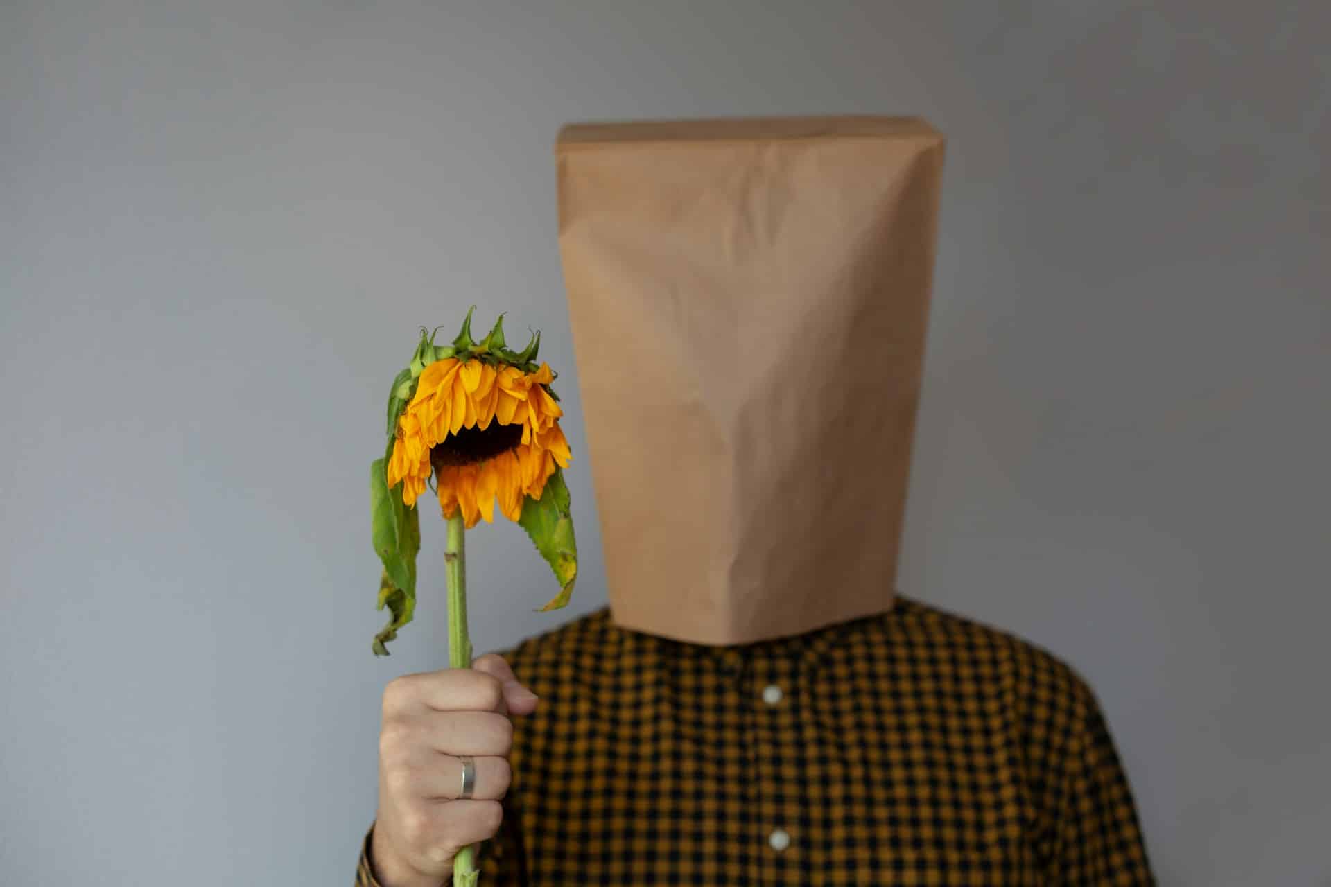 a person with a bag over their head holding a sunflower