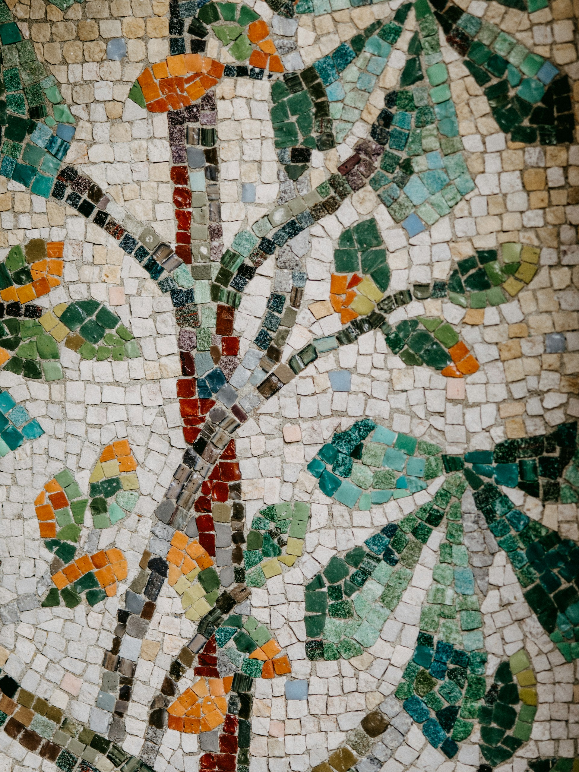 image of a mosaic plant