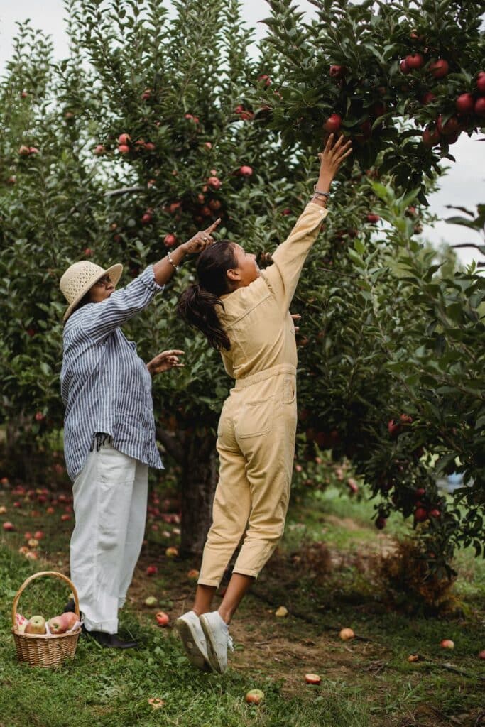image of two women picking apples